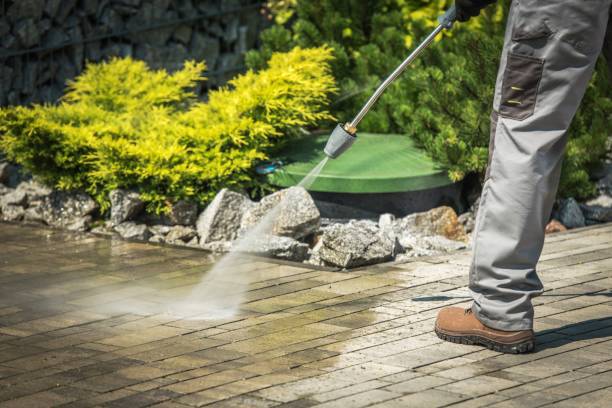 Professional Pressure Washing in Altavista, VA